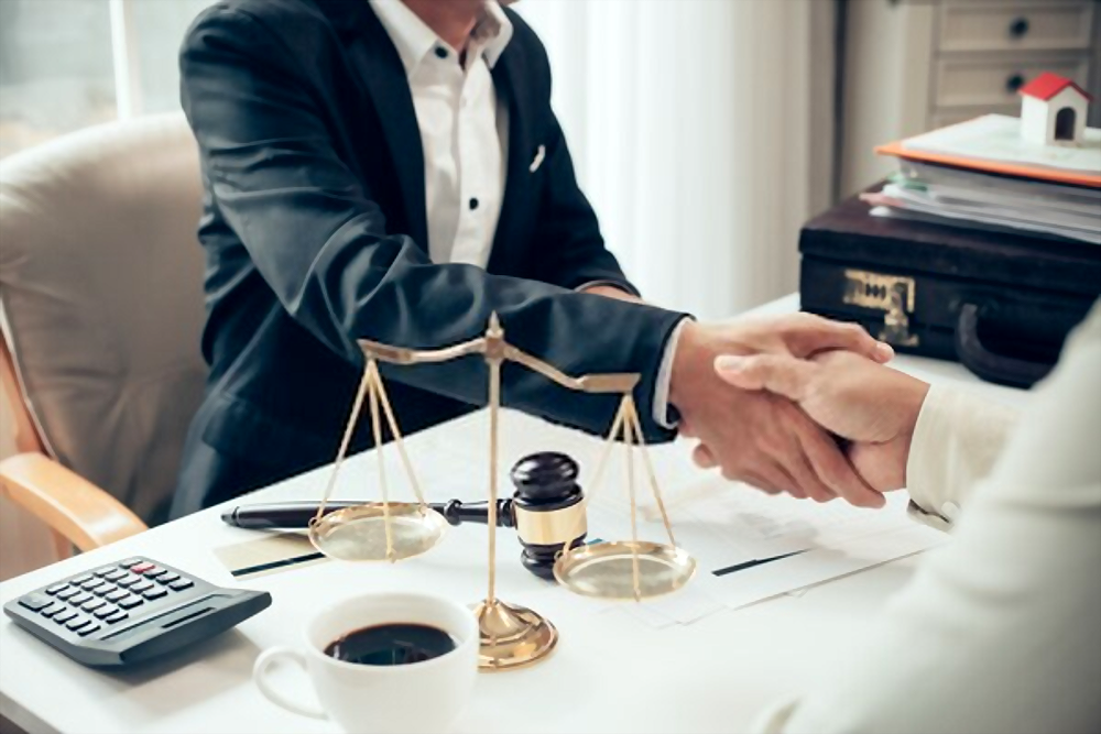 Professional Lawyer